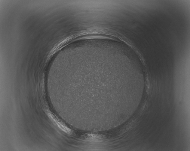X0000085840442200703161355