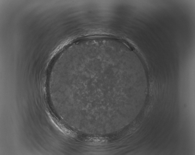 X0000085840443200703161355