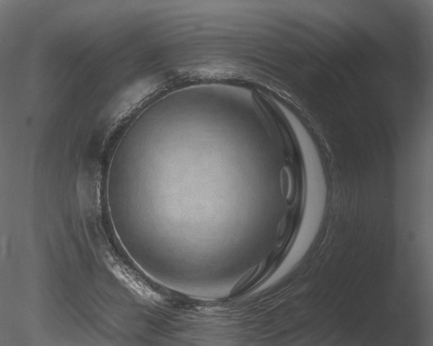 X0000085840446200703161355