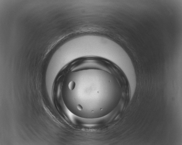 X0000085840448200703161355