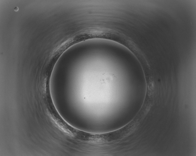 X0000085840454200703161355