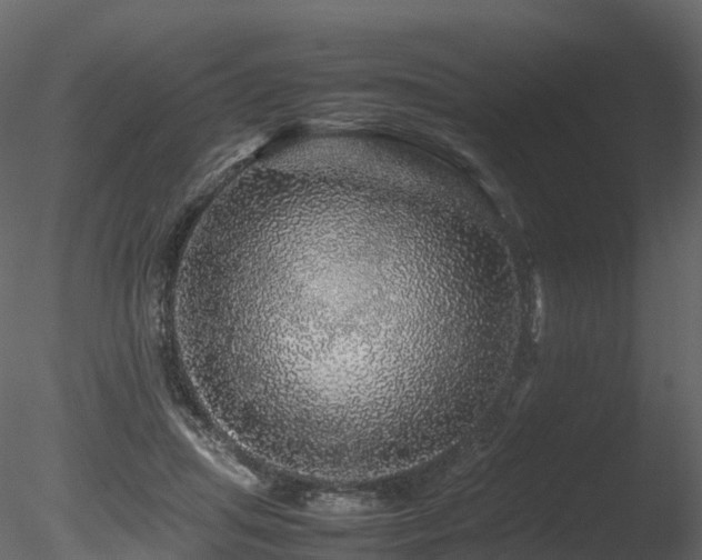 X0000085840455200703161355