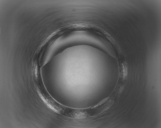 X0000085840456200703161355