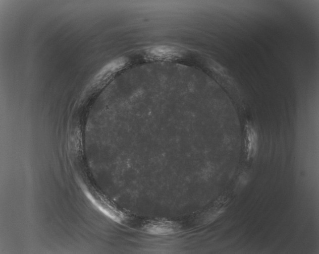X0000085840459200703161355