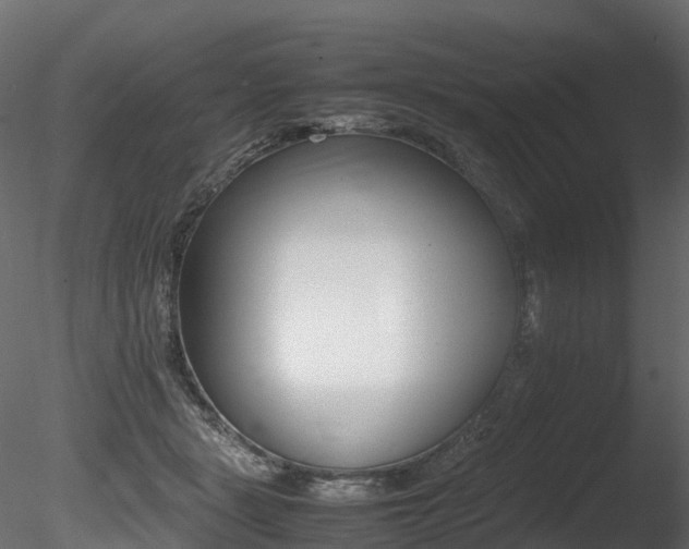 X0000085840461200703161355