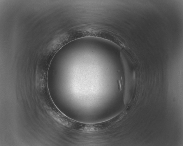 X0000085840464200703161355