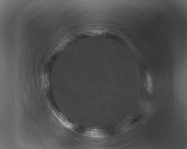 X0000085840467200703161355