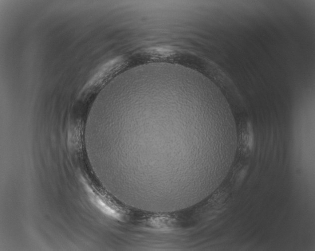 X0000085840468200703161355