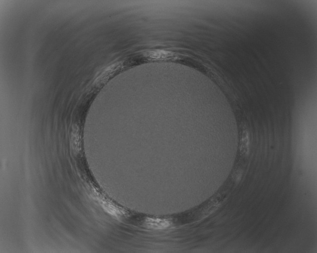 X0000085840469200703161355