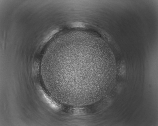 X0000085840472200703161355