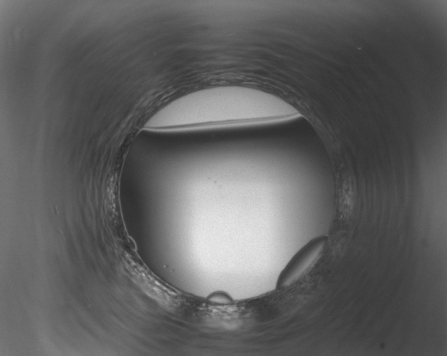 X0000085840473200703161355