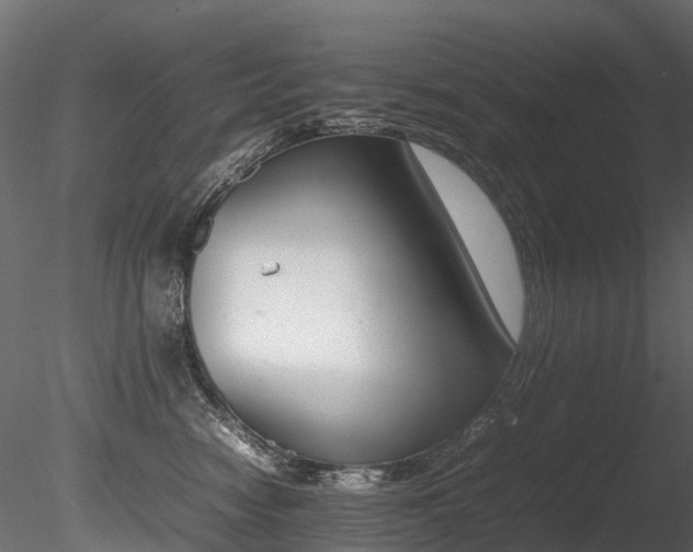 X0000085840474200703161355