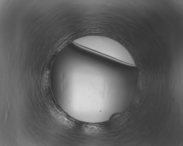 X0000085840475200703161355