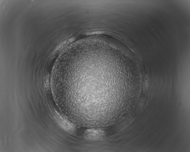 X0000085840477200703161355