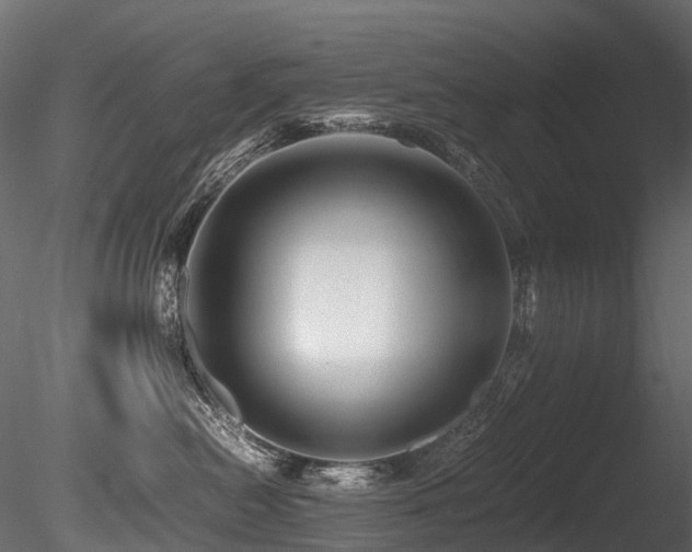 X0000085840478200703161355