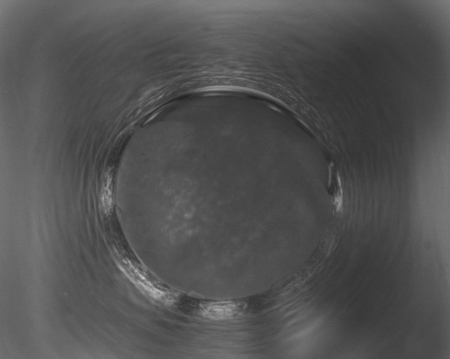 X0000085840479200703161355