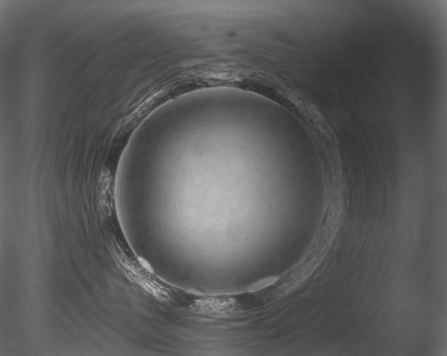 X0000085840480200703161356