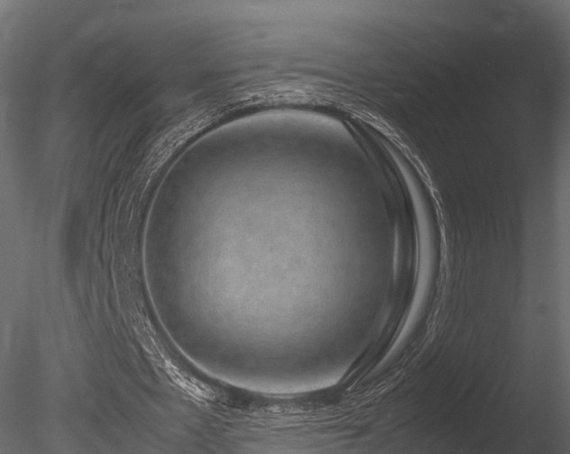 X0000085840481200703161355