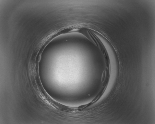 X0000085840485200703161355