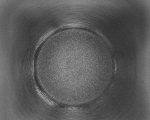 X0000085840486200703161355