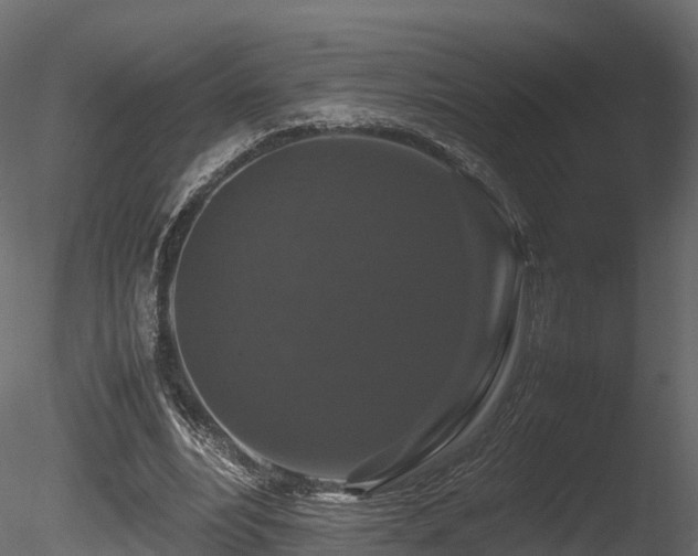X0000085840488200703161355