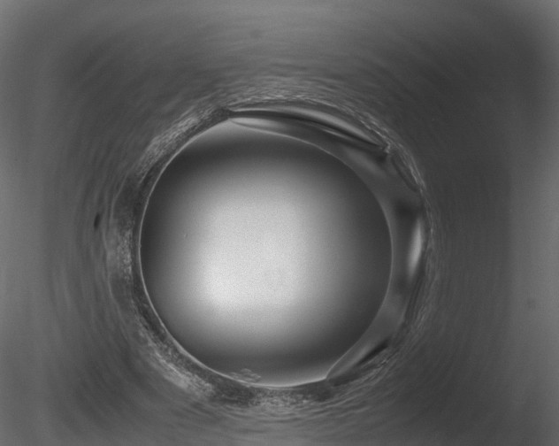 X0000085840489200703161355