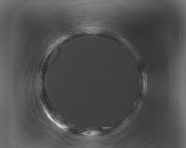 X0000085840492200703161354