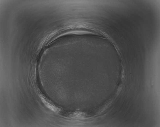 X0000085840493200703161354
