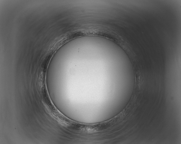 X0000085840498200703161354