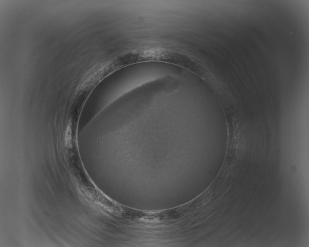 X0000085840502200703161354