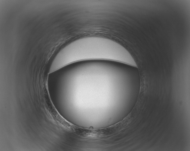 X0000085840504200703161354