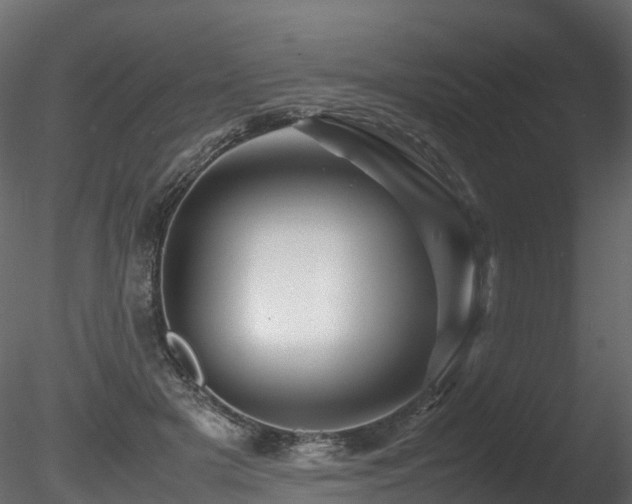 X0000085840505200703161354