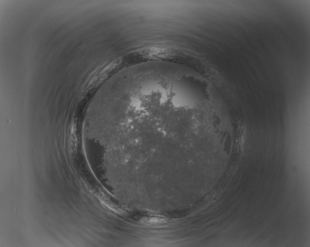 X0000085840506200703161354