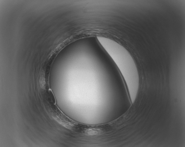 X0000085840508200703161354