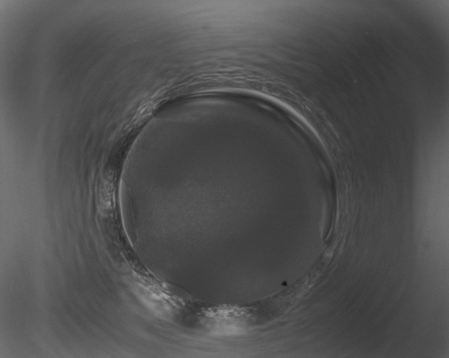 X0000085840517200703161354