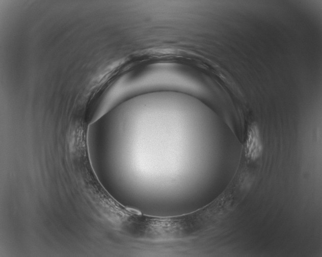 X0000085840521200703161354