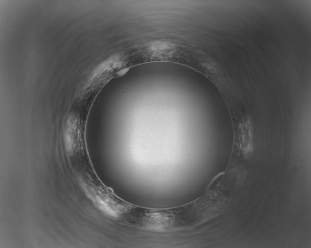 X0000085840522200703161354
