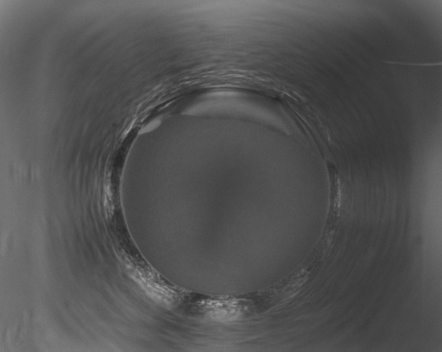 X0000085840524200703161354