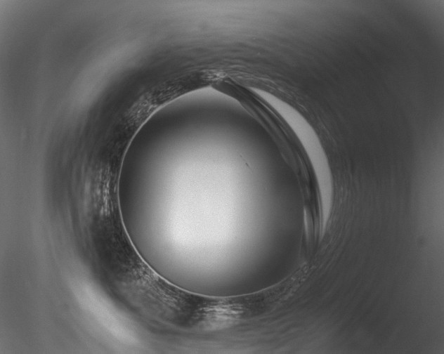 X0000085840525200703161354