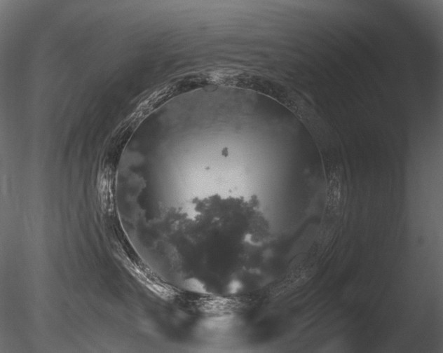 X0000085840527200703161354