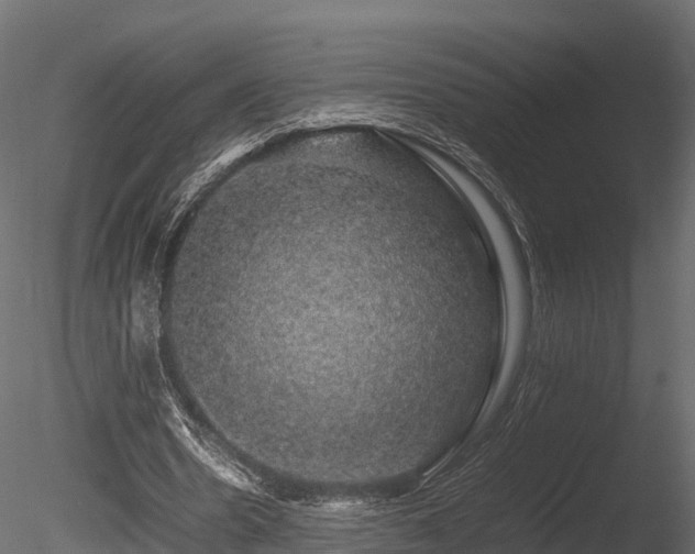 X0000085840530200703161353