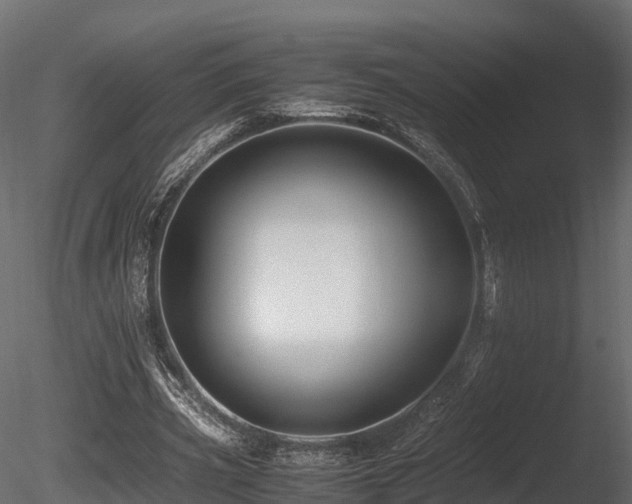 X0000085840533200703161353