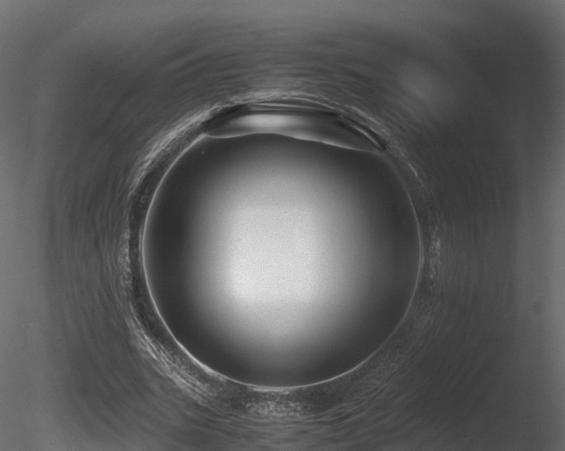 X0000085840535200703161353