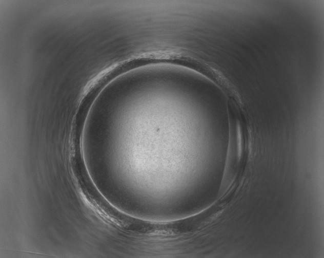 X0000085840536200703161353