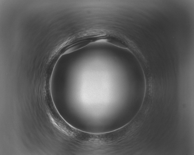 X0000085840538200703161353