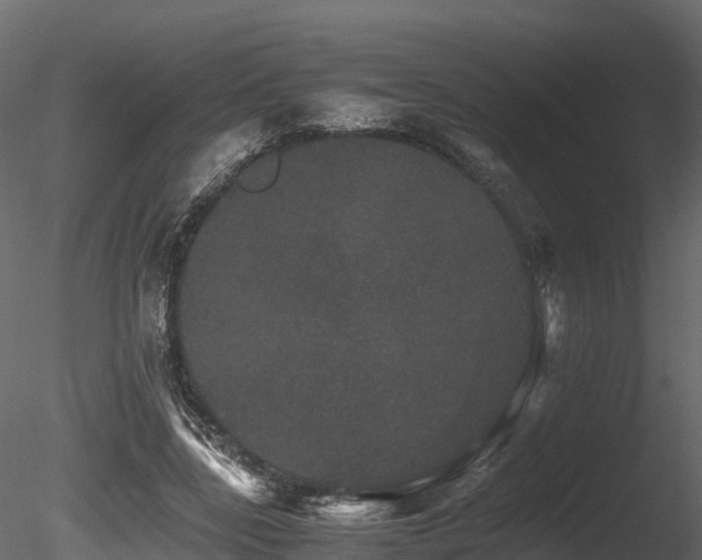 X0000085840539200703161353