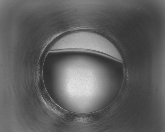 X0000085840540200703161353