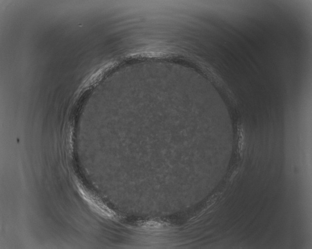 X0000085840542200703161353