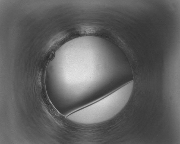 X0000085840543200703161353