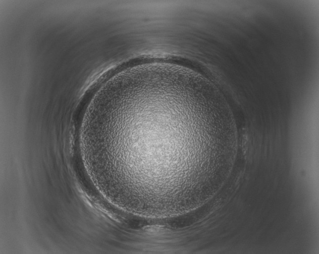 X0000085840544200703161353